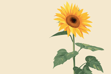 Sunflower graphic on a cream background