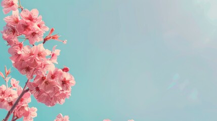 A charming aesthetic featuring pink flowers set against a serene blue sky creating the perfect backdrop for your text Embodying a lovely pastel concept that evokes the essence of both Sprin - Powered by Adobe