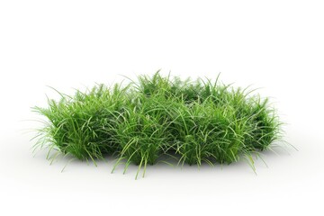 Fototapeta premium Isolated Grass Patch 3D Rendering for Architectural Use. White Background with Garden Plants, Flowers and Green Fields in Nature