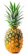 Whole Pineapple Isolated on White Background with Clipping Path. Ripe and Juicy Pineapple with Green Leaves. Vertical Image of One Isolated Pineapple on White