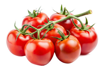 tomatoes on branch isolated on transparent background, element remove background, element for design