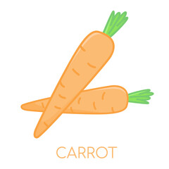 Carrot vegetable lcolored icons illustration