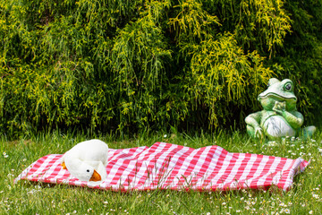 Red picnic cloth. Red checked picnic blanket with a plush toy duck for kids on a meadow with daisies in bloom. Beautiful backdrop. Frog in background. Space.