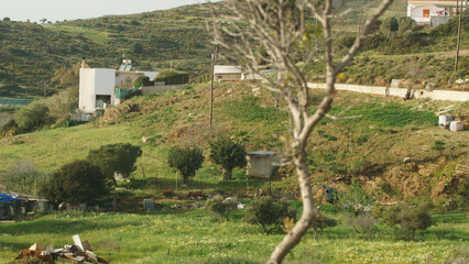 Vache noire et blanche dans un pâturage
