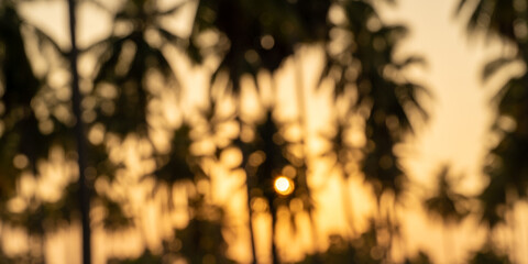 blurred background with sun rays through the palm trees