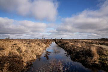 The Balloërveld nature reserve, also Ballooërveld, is a 367 hectare heathland in the municipality of Aa en Hunze, in the Dutch province of Drenthe.