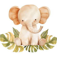 Safari baby elephant illustration, Jungle watercolor animal - 788631783