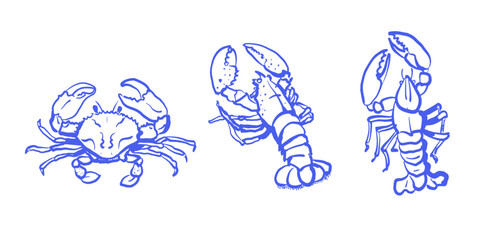 Seafood set with crab and lobster in blue outlines isolated on white background.Hand drawn vector illustration. Design for seafood menu, coastal decor. Marine life and cuisine concept. 
