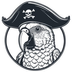 Parrot pirate, vector illustration