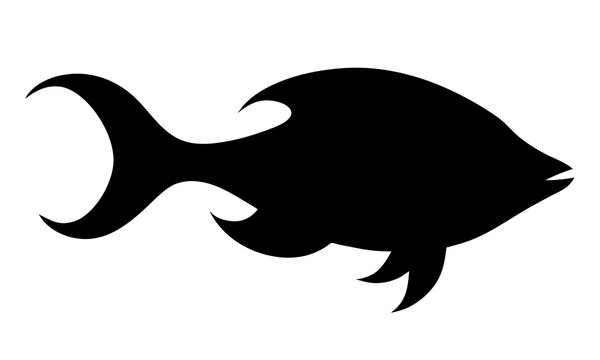 recommend clip art: Illustration of a shark silhouette