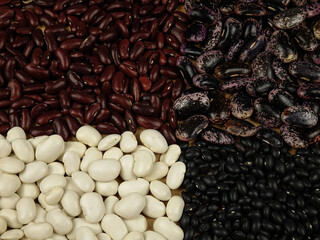 Set of different whole legumes seeds, colorful natural texture background.