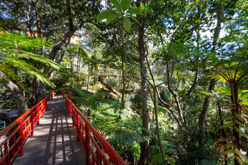 Enchanting Landscapes of Madeira: A Visual Journey