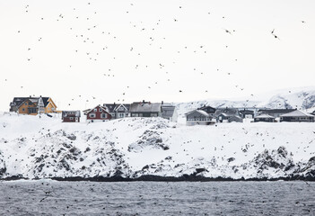 Vardo, Norway: seaside shore in the winter
