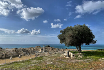 Blich auf einen Baum und zum Meer in der archäologischen Ausgrabungsstätte des antiken Kourion,...