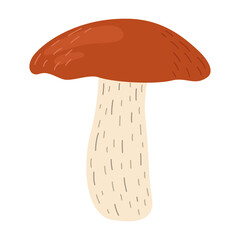 Orange birch bolete mushroom. Leccinum fungi. Edible forest mushrooms. Vegetarian fungi brown cap boletus. Botanical flat vector illustration isolated on white background. 