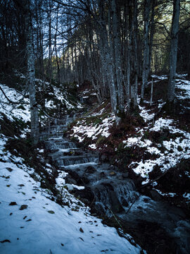 uma pequena queda de água no meio das árvores na floresta na montanha, no inverno com neve