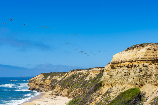 Pacific ocean on sandy Cowell Ranch State beach surrounded by sea cliffs, rocky headlands on sunny day with a pelican group flying in San Mateo County, California