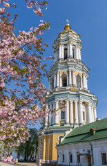 View from the blooming Sakura in the foreground to the Great Lavra Bell Tower of the Kiev Pechersk Lavra. Kyiv, Ukraine.