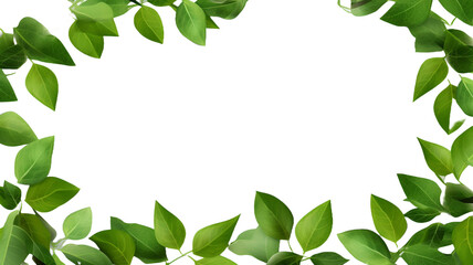 Green leaves frame foreground isolated on transparent background.

