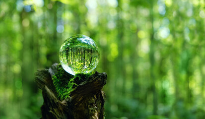 Crystal ball on mossy tree stump in forest, abstract natural background. magic prediction crystal...