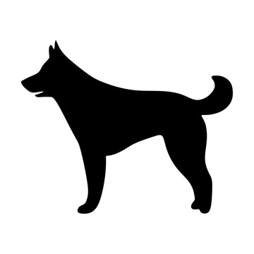 Dog icon, pet face profile vector silhouette glyph pictogram illustration