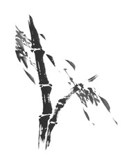 PNG Bamboo tree, vintage botanical illustration by Taiho Shokon, transparent background.
