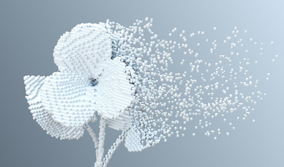 White digital flower viola disintegrates to 3d pixels. 3d illustration. - 788673349