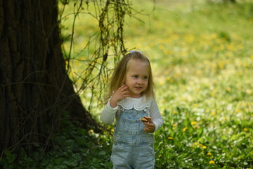 little girl in the park. A beautiful little girl walks in a field of dandelions. Child's spring walks. A two-year-old girl with blond hair wearing yellow rubber boots