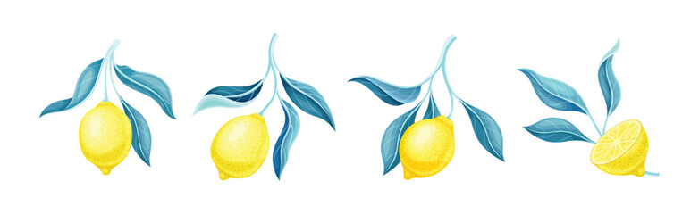 Lemon Citrus Fruit with Yellow Rind and Leaf Vector Set