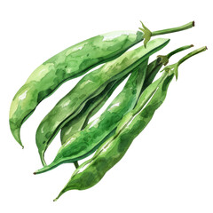 vegetable -  delicious and fresh Green bean ,illustration watercolor - obrazy, fototapety, plakaty