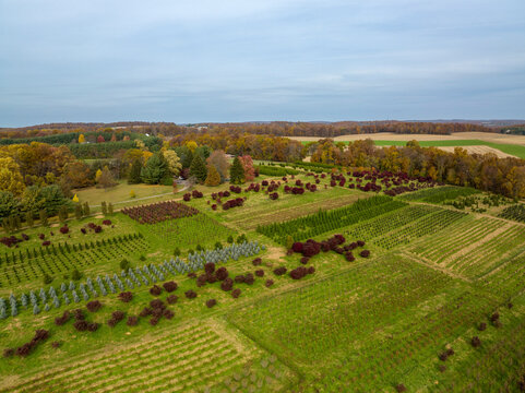 Aerial view of Tree Farm in autumn, Hampstead, Maryland, United States.
