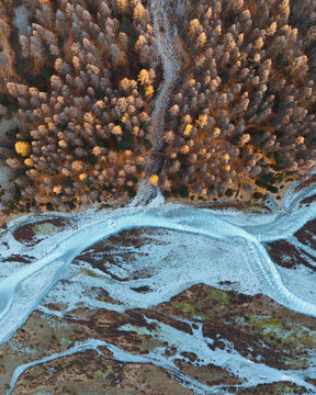 Aerial view of forest patterns and textures in Val Roseg, Pontresina, Graubunden, Switzerland.
