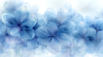   Blue flowers in focus against a blue and white background, softly blurred backdrop of same-hued blooms