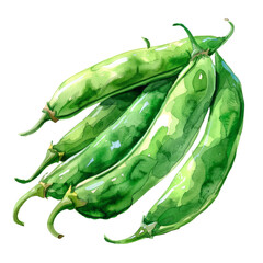 vegetable - Green beans, also known as string beans or snap beans, are tender, elongated pods harvested from the common bean plant, scientifically known as Phaseolus vulgaris.