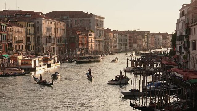 Venetian gondolier punting gondola through green canal waters of Venice Italy. Beautiful view of traditional Gondolas on famous Canal Grande in romantic golden evening light at sunset.