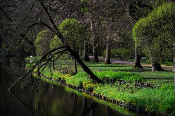 Gardens, photo Wojciech Fondalinski