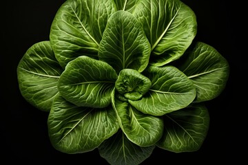 Veiny Spinach leaf top view. Organic vegetable food health nature. Generate Ai