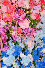 wall of blue and pink flowers, photo zone 