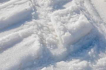 background of white snow with traces of skiers on a sunny day
