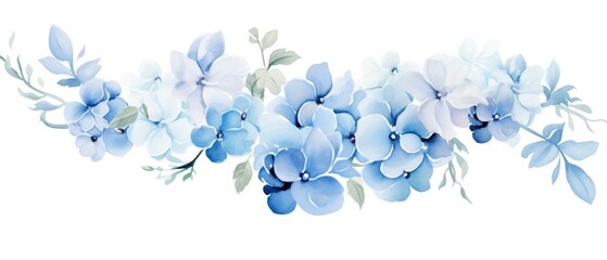 Fototapeta na wymiar pale blue watercolor hydrangea flowers with white background