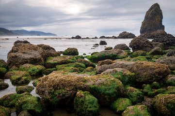 Tide pools at Haystack Rock, Oregon during low tide. Many colorful and strange creatures live where Cannon Beach’s rocky shorelines and beaches meet the sea.