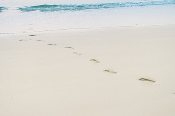 Footprints of human feet on the sand near the water on the beach.