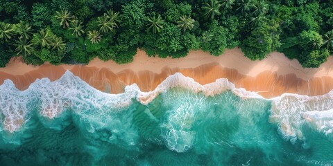 Majestic Aerial View of Beach and Trees