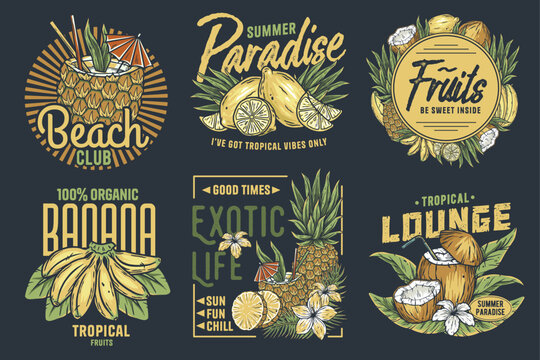 Set of six stylish badges featuring pineapples and coconuts with summer themes. Fruits or exotic eco elements for vegetarian menu. Organic nature ingredients for food market
