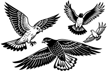 Hawk Osprey Falcon Pigeon Seagull flying in the sky vector silhouette 