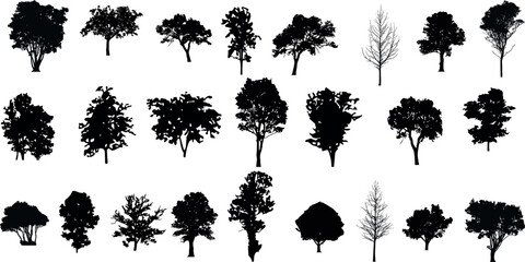 silhouette tree line drawing set, Side view, set of graphics trees elements outline symbol for architecture and landscape design drawing - obrazy, fototapety, plakaty