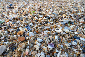 Multi-colored pebbles are seen at Tien Sa beach, next to Son Tra mountain, Da Nang, Vietnam