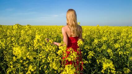 Fototapeta premium Caucasian woman in red dress in scenic yellow rapeseed field