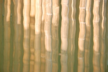 Blurred a group of bamboo poles on water surface with sunlight for background backdrop 