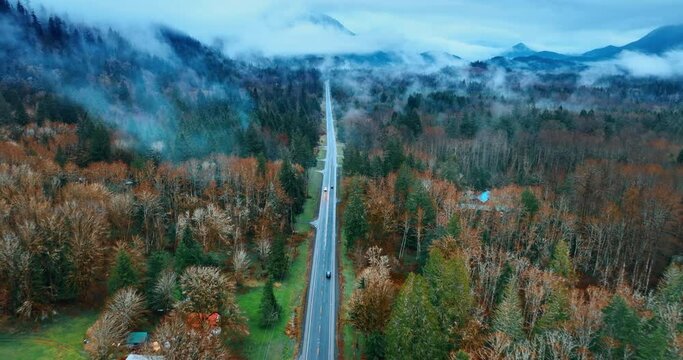 Following few cars going by the road in the evergreen forest. White mist spreading over the beautiful Mount Rainer National Park, Washington State, the USA. Top view.